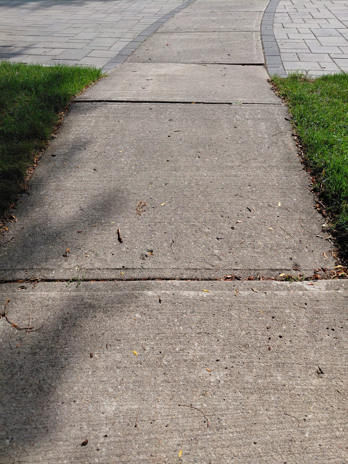 Sidewalk damage reported on Darby Road.